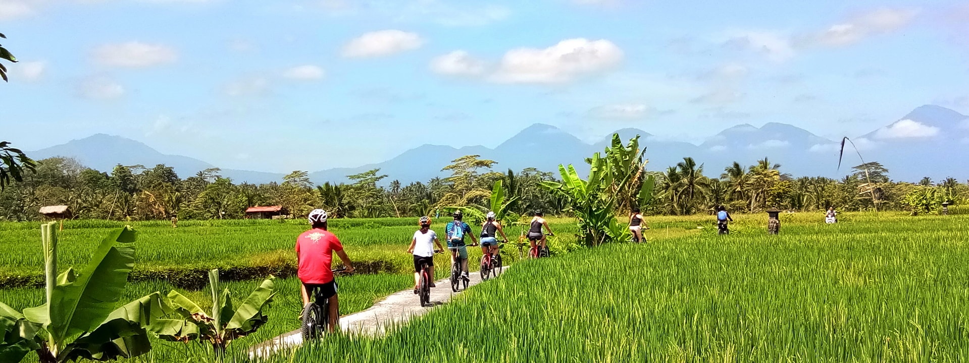 Tour eBikes Bali dengan Sepeda Listrik