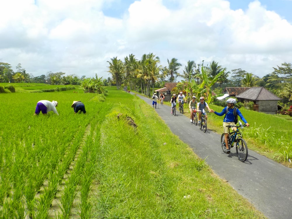 Tour Sepeda di Bali - Rute Wisata Bersepeda | eBikes Bali