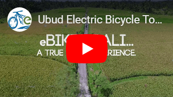 electric bike tour bali