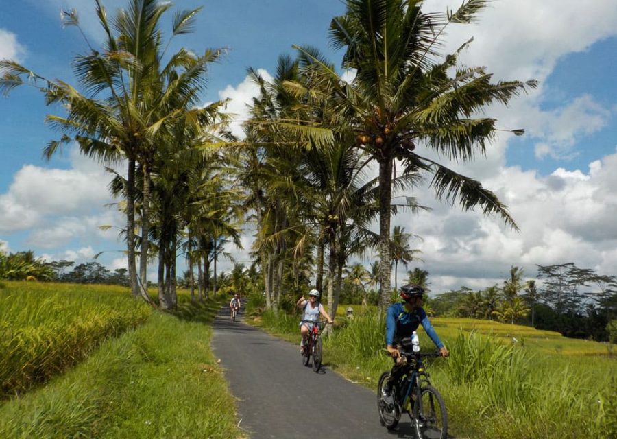 eBikesBali-Ubud-to-Tirta-Empul-Tour_03